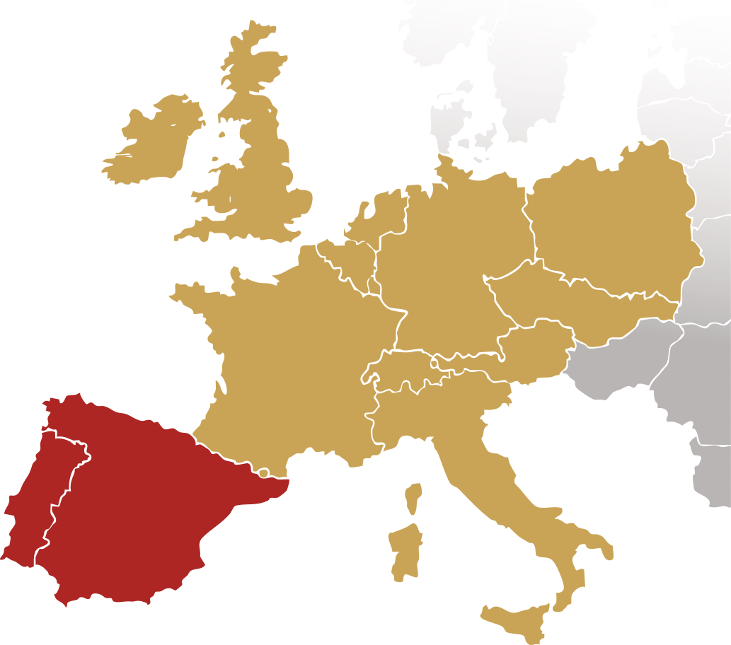 Mapa Vitafor Road Europe